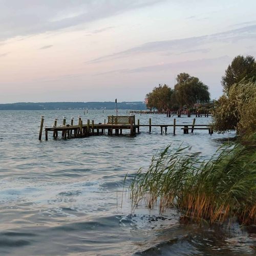 ufer-steg-schweriner-see Blick auf den Schweriner See bei Abendstimmung mit Holzsteg, Schilf und sanften Wellen.